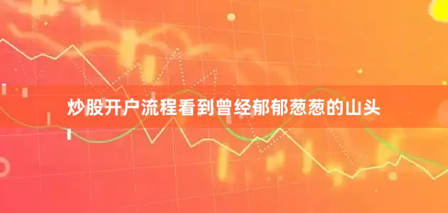 炒股开户流程看到曾经郁郁葱葱的山头