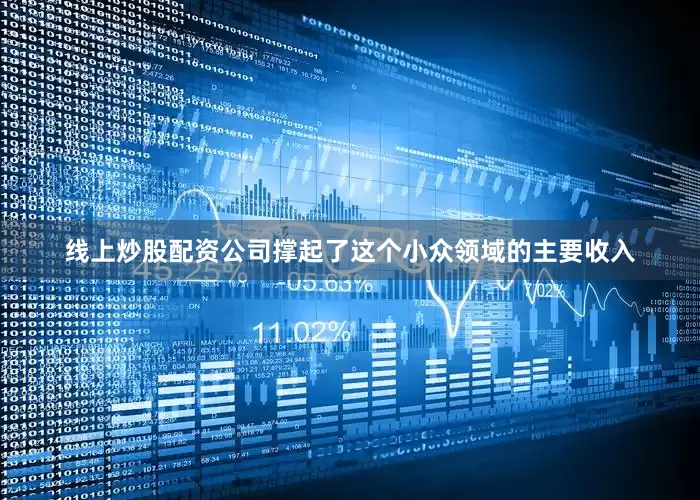 线上炒股配资公司撑起了这个小众领域的主要收入